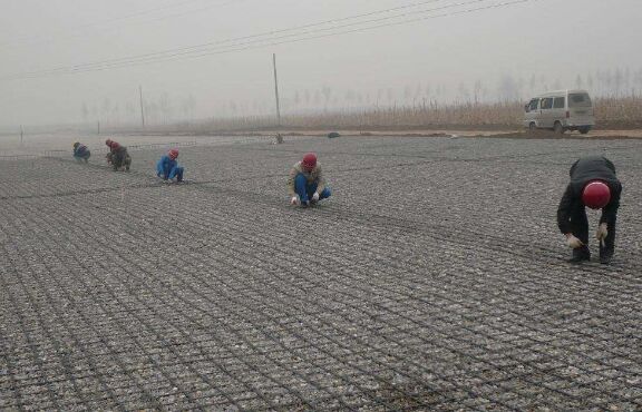 土工格柵的基礎建設